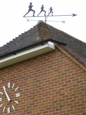 the village hall weathervane 2.jpg